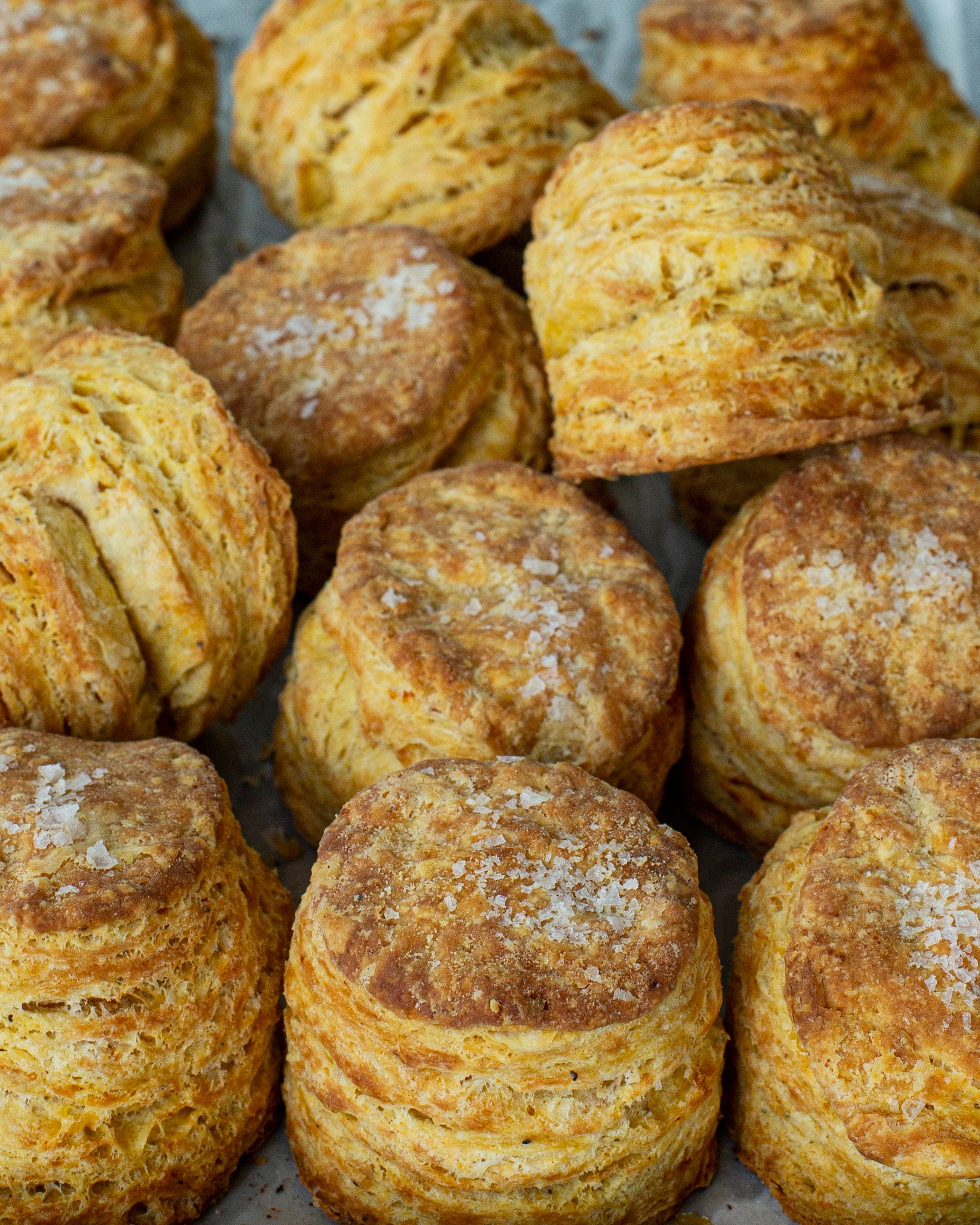 Cheryl Day’s Sweet Potato Biscuits