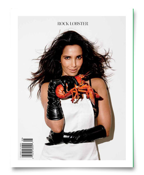 Issue No. 8: Feast Your Eyes